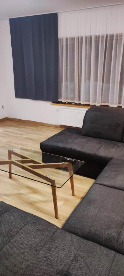 Villa U Skupniow Suche-Zakopane Поронин Екстериор снимка